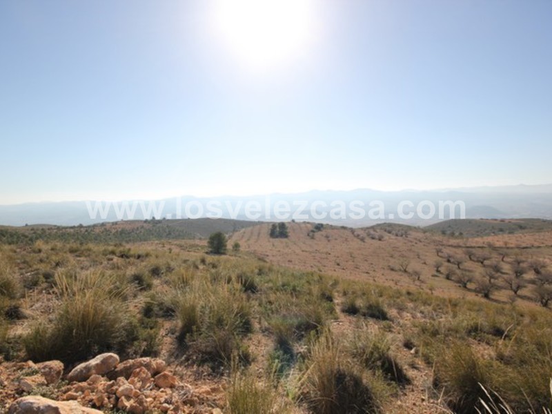 LVC429: Land for sale in Velez Blanco, Almería