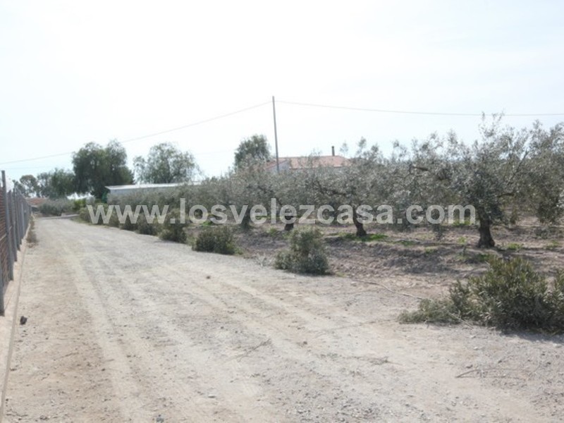 LVC430: Small Holding for sale in Puerto Lumbreras, Murcia