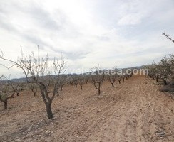 LVC432: Terreno en La Parroquia, Murcia