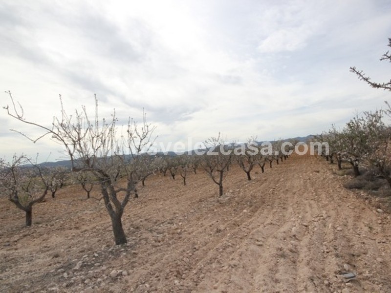 LVC432: Land for sale in La Parroquia, Murcia