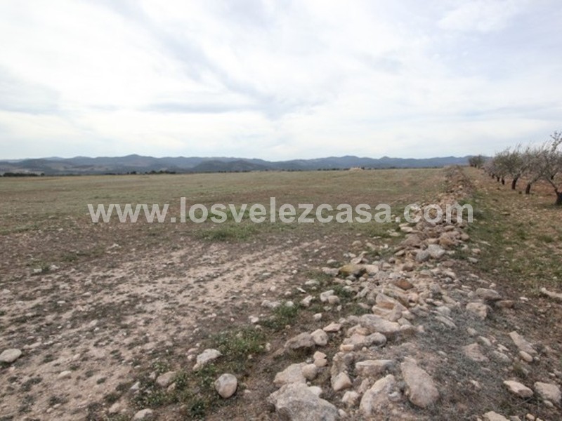 LVC432: Land for sale in La Parroquia, Murcia