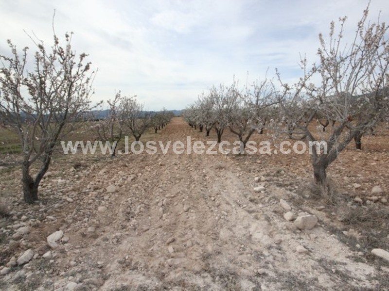 LVC432: Land for sale in La Parroquia, Murcia