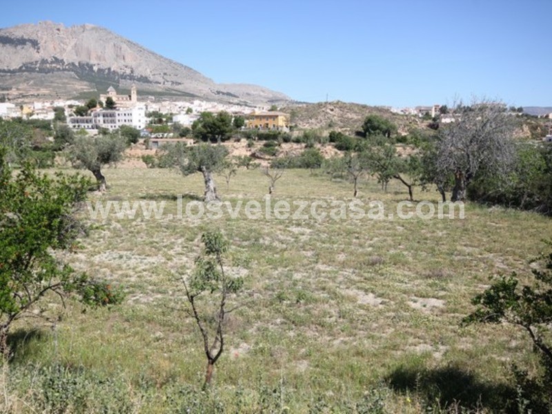 LVC438: Small Holding for sale in Velez Rubio, Almería