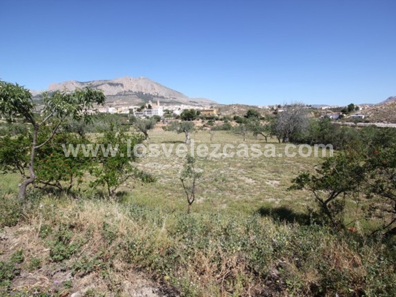 LVC438: Small Holding for sale in Velez Rubio, Almería