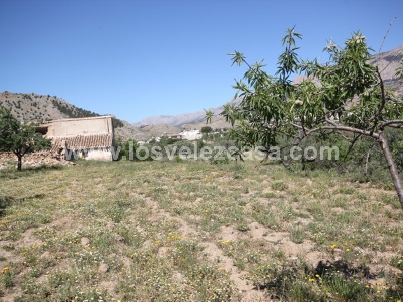 LVC438: Small Holding for sale in Velez Rubio, Almería