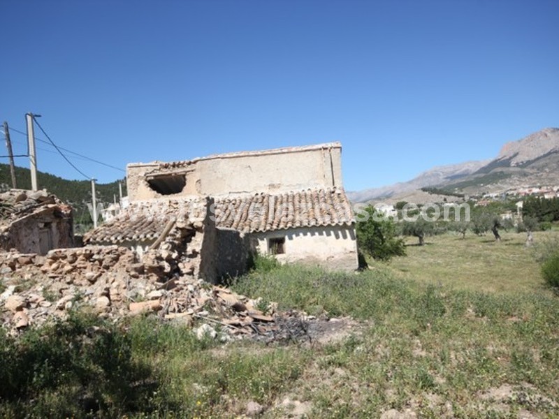 LVC438: Small Holding for sale in Velez Rubio, Almería