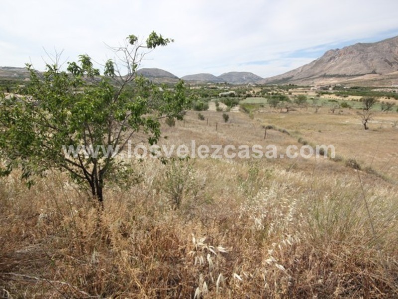 LVC439: Detached Character House for sale in Velez Blanco, Almería