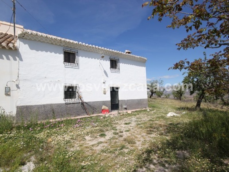 LVC444: Small Holding for sale in Velez Rubio, Almería