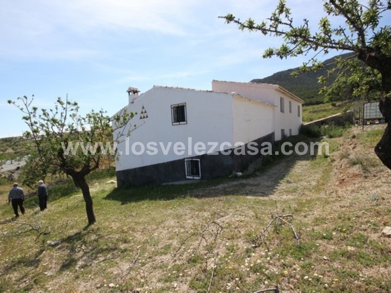 LVC444: Small Holding for sale in Velez Rubio, Almería