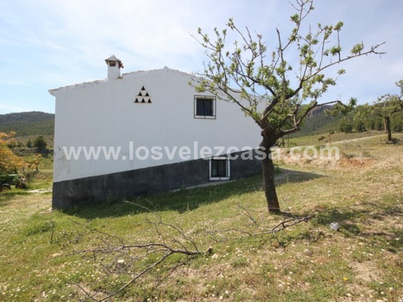 LVC444: Small Holding for sale in Velez Rubio, Almería