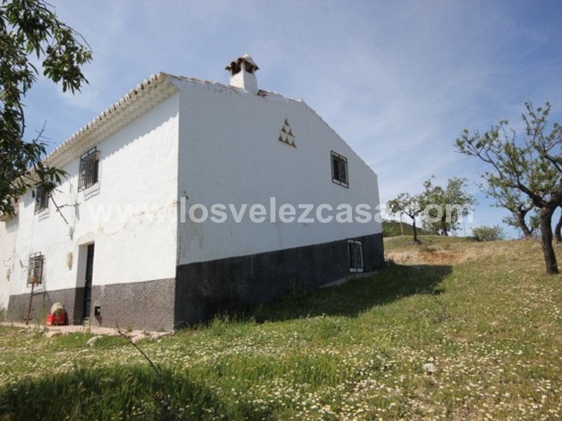 LVC444: Small Holding for sale in Velez Rubio, Almería