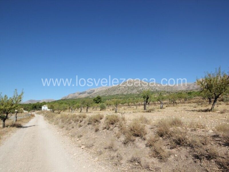 LVC446: Country Estate for sale in Velez Rubio, Almería