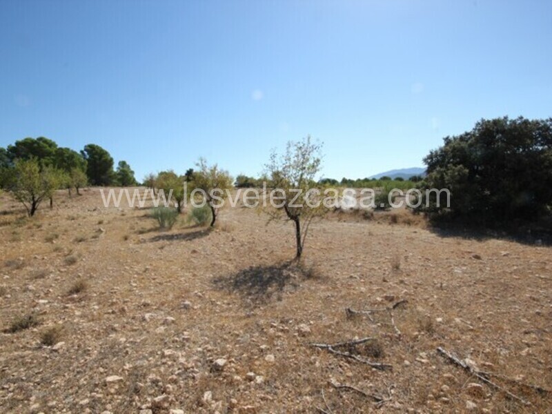 LVC446: Country Estate for sale in Velez Rubio, Almería