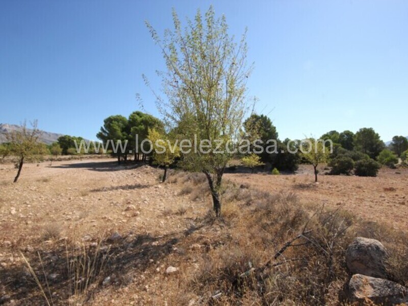 LVC446: Country Estate for sale in Velez Rubio, Almería