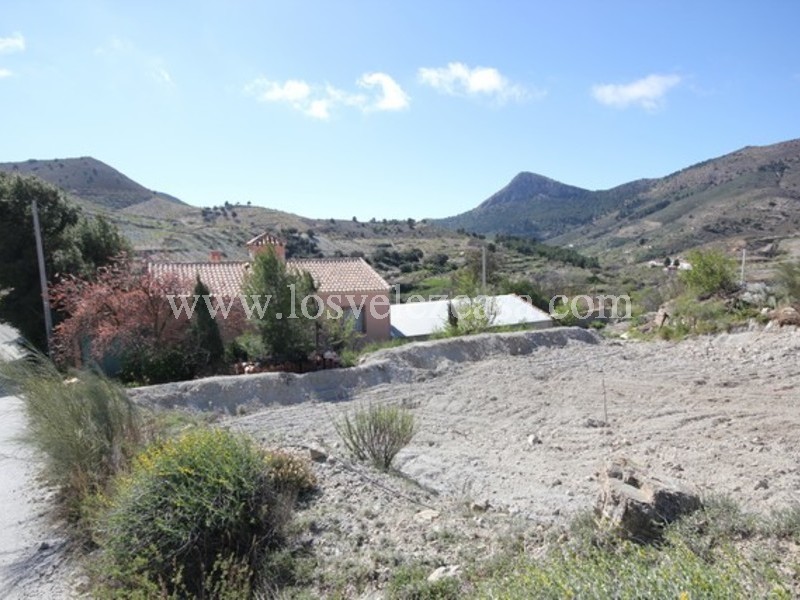 LVC460: Detached Character House for sale in Los cerricos, Almería