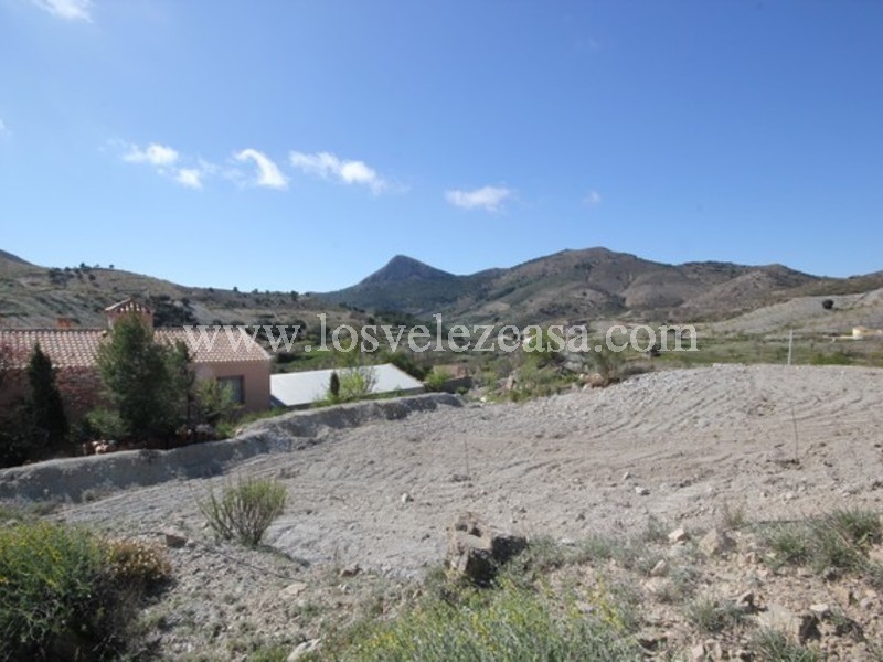 LVC460: Detached Character House for sale in Los cerricos, Almería