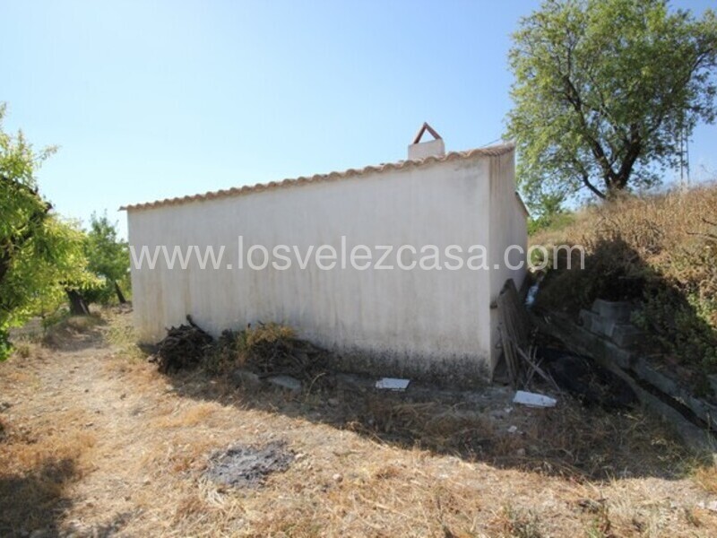 LVC462: Terreno en venta en Velez Blanco, Almería