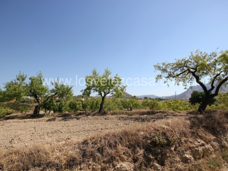 LVC462: Terreno en venta en Velez Blanco, Almería