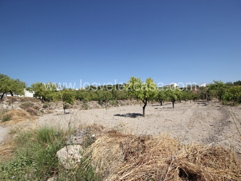 LVC462: Terreno en venta en Velez Blanco, Almería