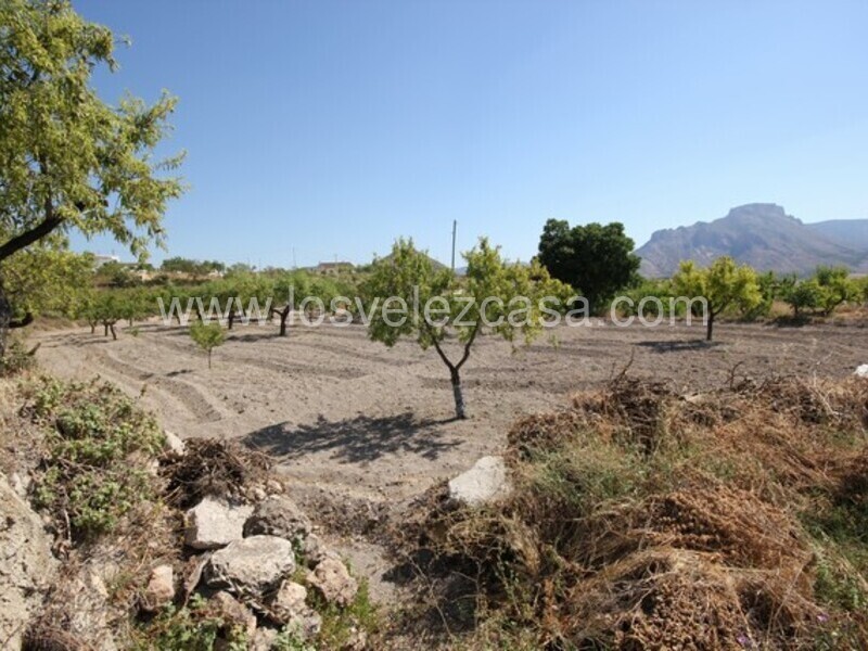 LVC462: Terreno en venta en Velez Blanco, Almería