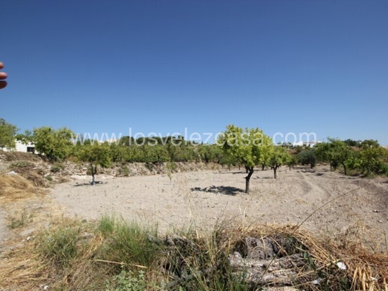 LVC462: Terreno en venta en Velez Blanco, Almería