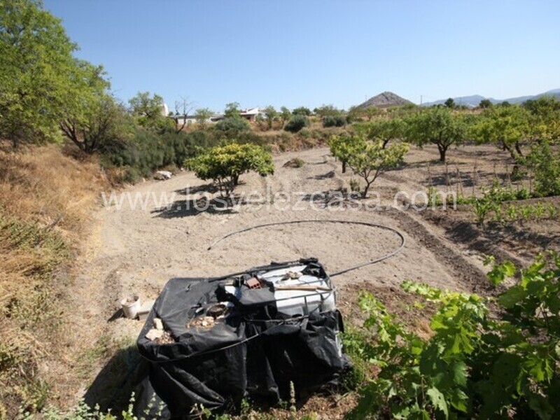 LVC462: Terreno en venta en Velez Blanco, Almería