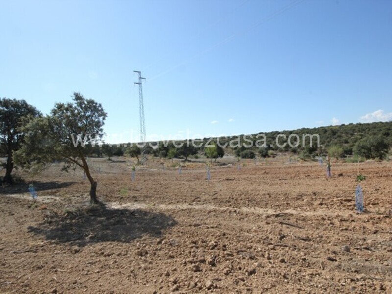 LVC470: Land for sale in Chirivel, Almería