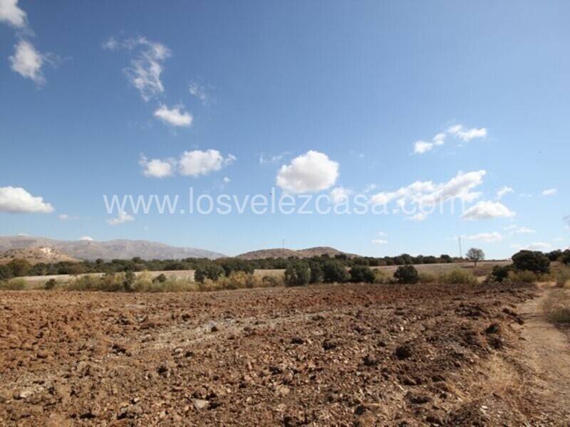 LVC470: Land for sale in Chirivel, Almería