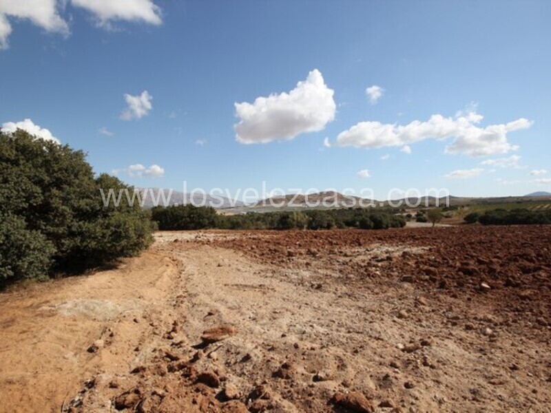 LVC470: Land for sale in Chirivel, Almería