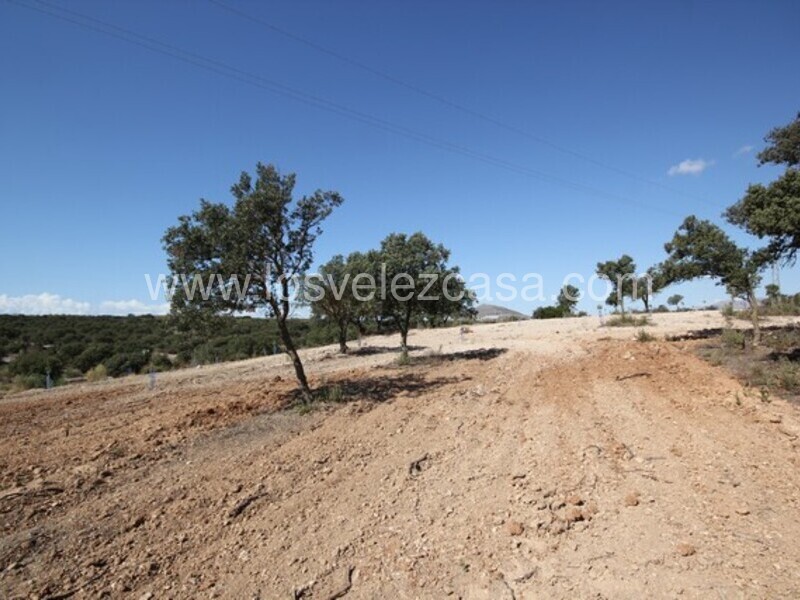 LVC470: Land for sale in Chirivel, Almería