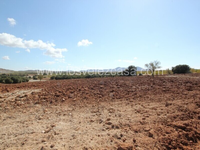 LVC470: Land for sale in Chirivel, Almería