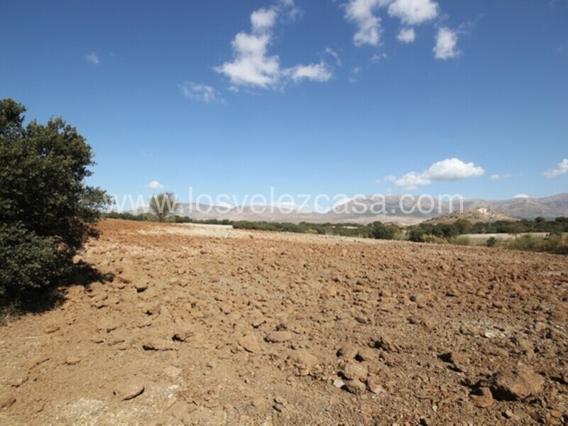 LVC470: Land for sale in Chirivel, Almería