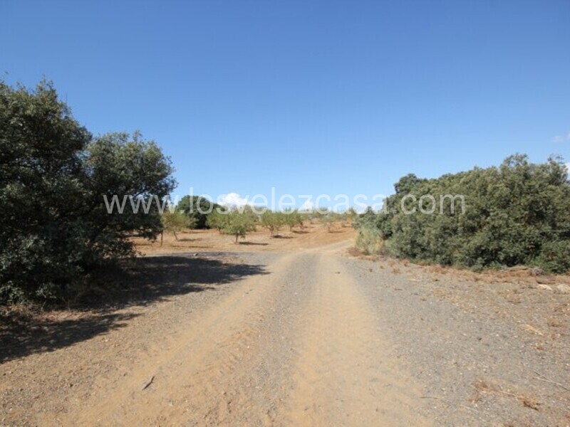 LVC470: Land for sale in Chirivel, Almería