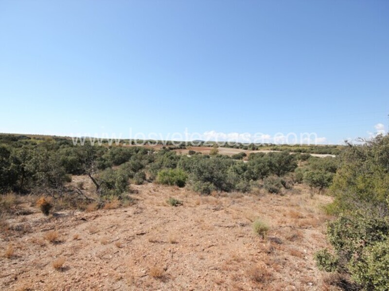 LVC470: Land for sale in Chirivel, Almería