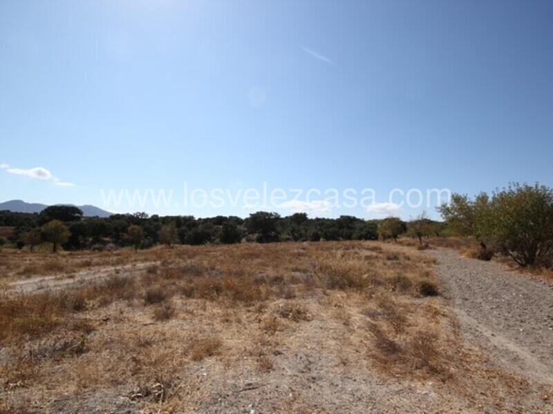 LVC470: Land for sale in Chirivel, Almería