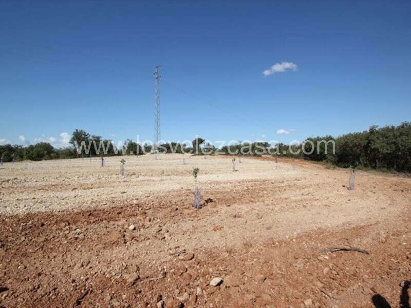 LVC470: Land for sale in Chirivel, Almería