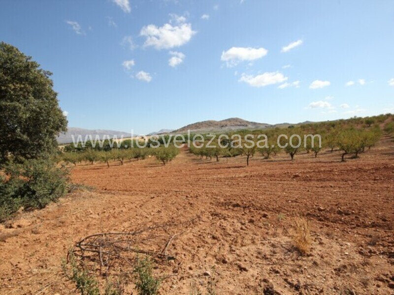 LVC470: Land for sale in Chirivel, Almería