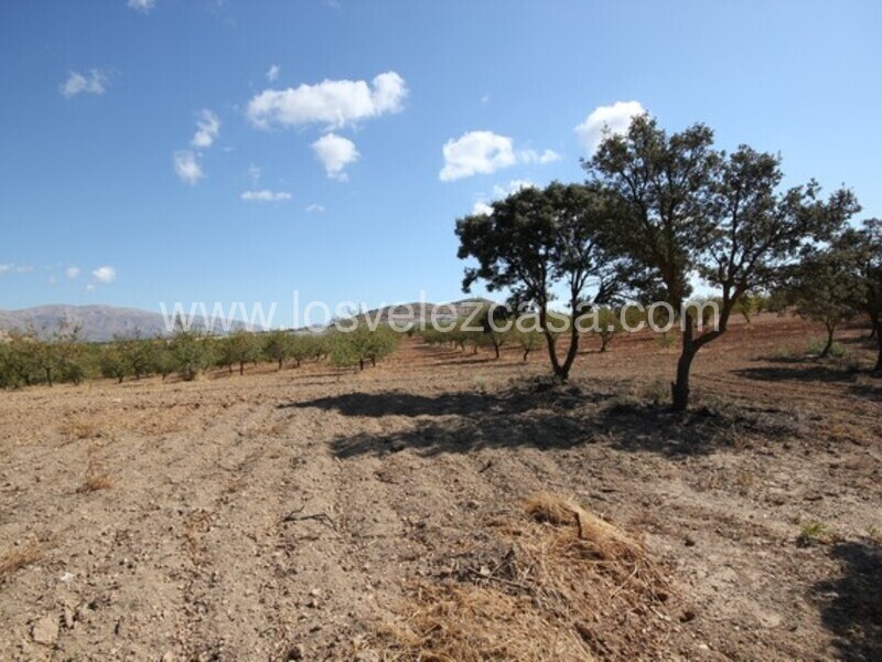 LVC470: Land for sale in Chirivel, Almería