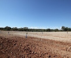 LVC470: Terreno en Chirivel, Almería