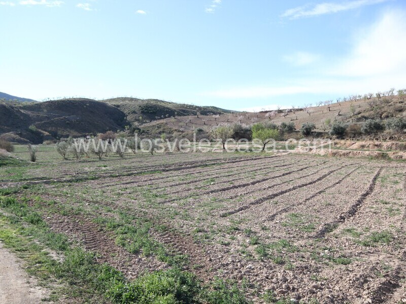 LVC475: Land for sale in Umbria, Murcia