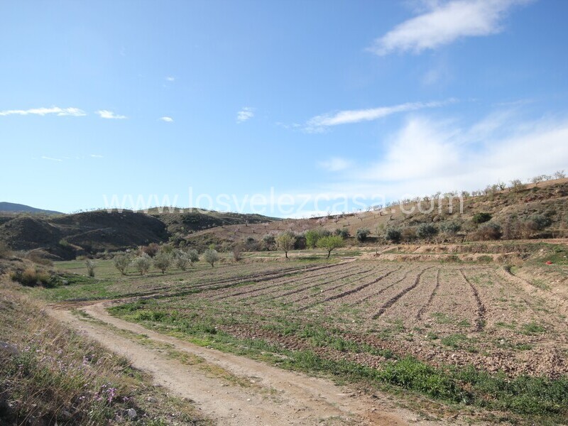 LVC475: Land for sale in Umbria, Murcia