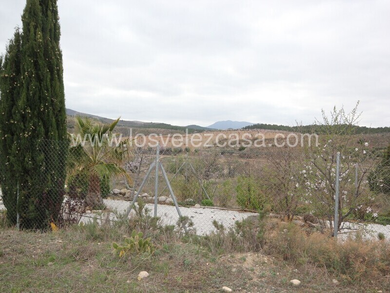 LVC475: Land for sale in Umbria, Murcia