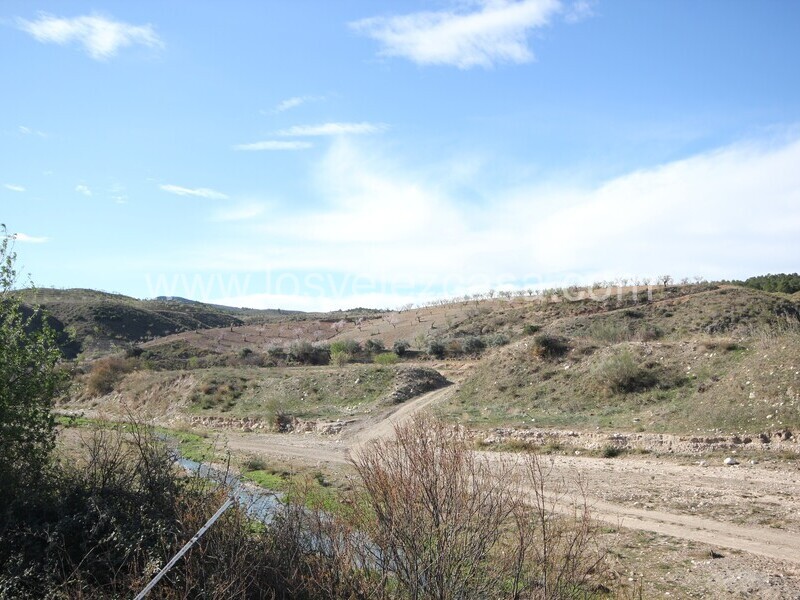 LVC475: Land for sale in Umbria, Murcia