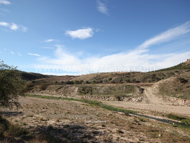 LVC475: Land for sale in Umbria, Murcia