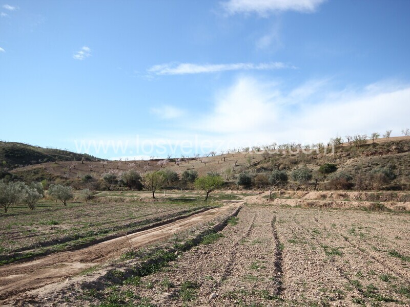 LVC475: Land for sale in Umbria, Murcia