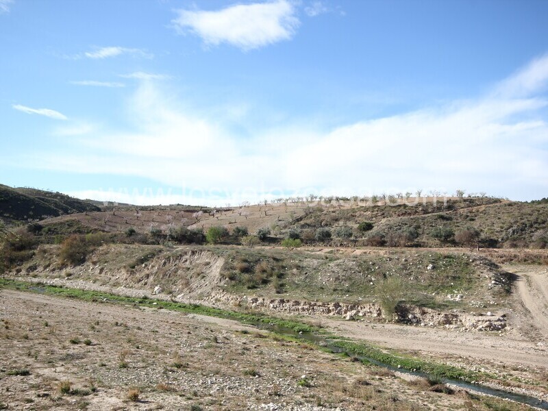 LVC475: Land for sale in Umbria, Murcia