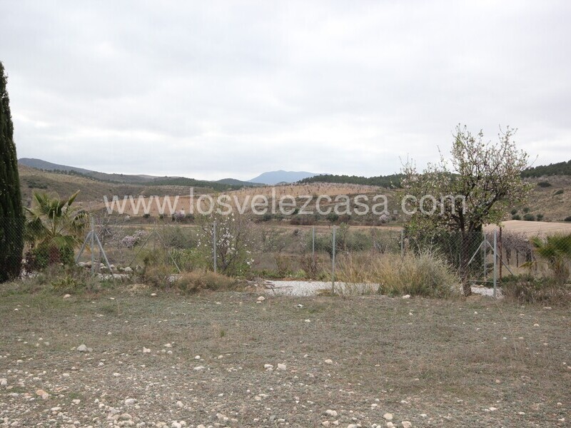 LVC475: Land for sale in Umbria, Murcia