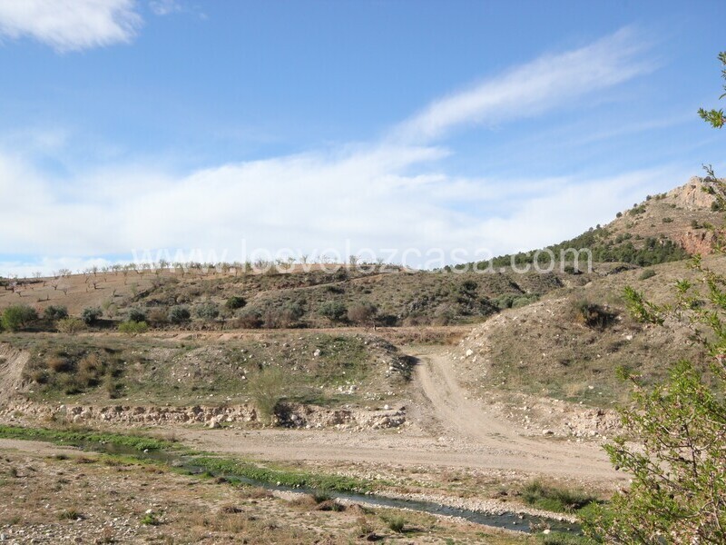 LVC475: Land for sale in Umbria, Murcia