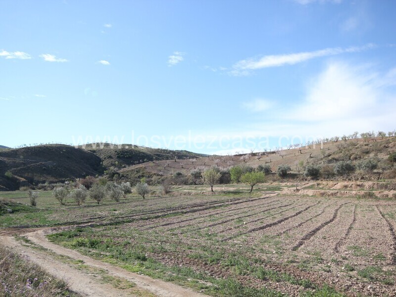 LVC475: Land for sale in Umbria, Murcia