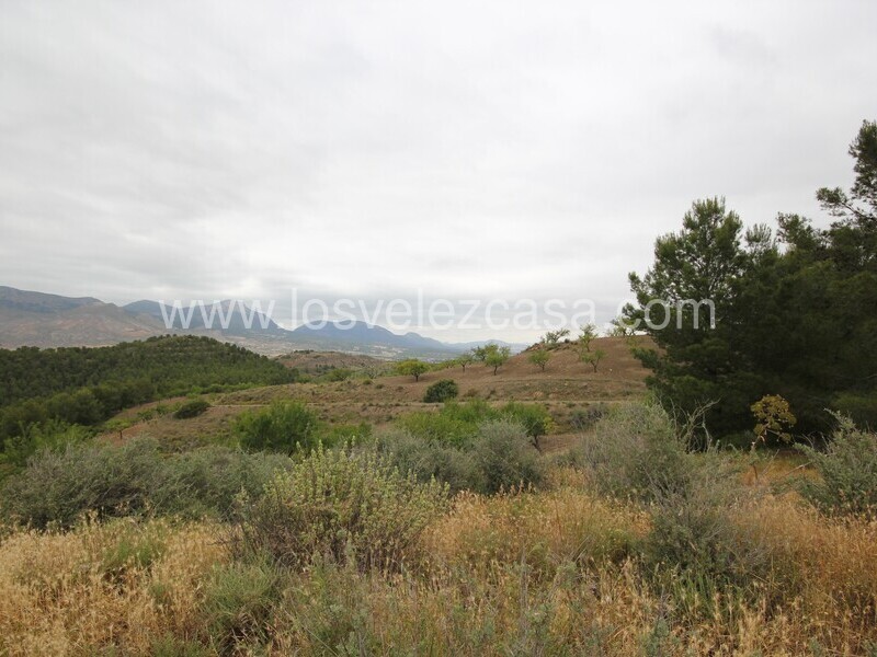 LVC480: Country Property to Reform for sale in Fontanares, Murcia